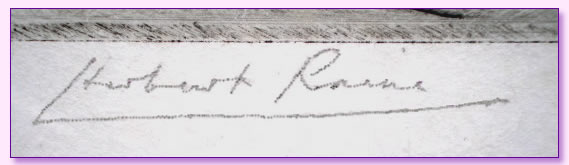 Raine Signature
